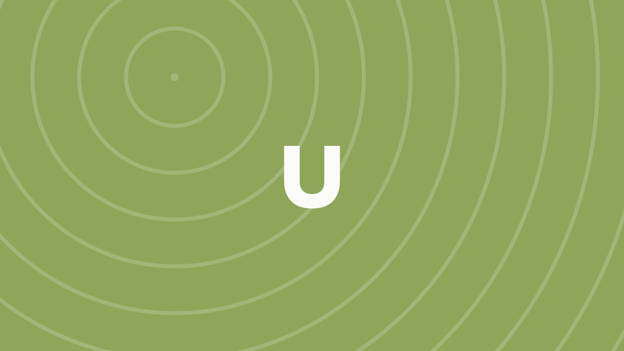 UX/UI Design 101